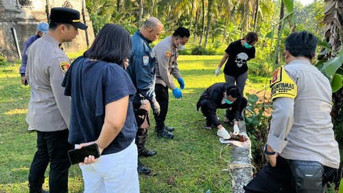 Petugas mengevakuasi janin yang ditemukan membusuk di kuburan Banjar Bantas Tengah-Kelod, Desa Bantas, Kecamatan Selemadeg Timur, Tabanan, Jumat (5/9/2025). (Istimewa)