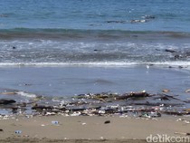 Sampah Serbu Pantai Citepus, Wisatawan Hanya Bisa Geleng Kepala