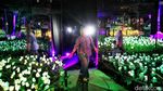 Sensasi Cahaya di Kota Tua, Museum Light Art Jadi Spot Favorit Libur Maulid