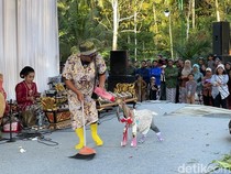 Uniknya Festival Rambanan Kulon Progo, Ada Fashion Show Ternak-Lomba Ngarit