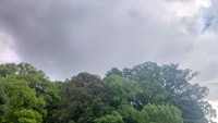 Salah satu area yang masih ramai dengan orang berlibur adalah Kota Dazaifu, Fukuoka. Selain terdapat kuil terkenal Dazaifu Tenmangu, juga terdapat banyak pertokoan yang menjual barang-barang dan makanan khas Jepang. Foto: Novia Aisyah/detikcom