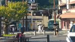 Potret Musim Panas di Fukuoka: Libur Sekolah Usai, Spot Wisata Tetap Ramai