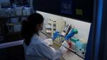Cuaca Kering Ancam Masa Depan Teh India dan Pasokan Global