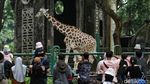 Libur Panjang, Ribuan Pengunjung Padati Ragunan
