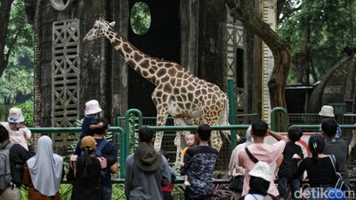 Libur Panjang, Ribuan Pengunjung Padati Ragunan