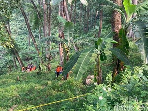 Lagi Cari Rumput, Warga Mojokerto Temukan Potongan Kaki dan Daging Manusia