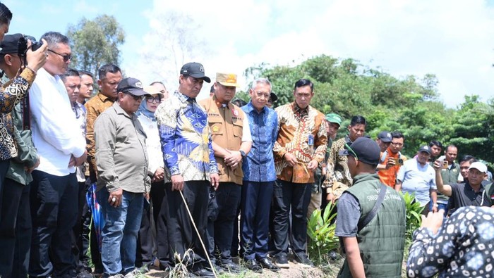 Menteri Pertanian bersama Sekda Banyuasin dan Dinas Pertanian Hortikular Sumsel melihat Panen IP 100 di Banyuasin