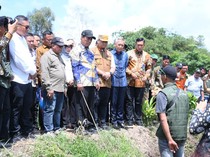 Menteri Pertanian Panen Padi IP 100 di Desa Merah Mata Banyuasin