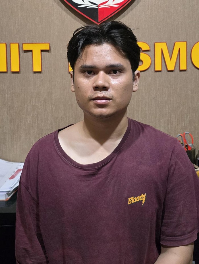 Alvi Maulana (24), pelaku yang mutilasi TAS (25)