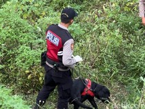 Video: Terungkap Sosok Wanita yang Dimutilasi Jadi 65 Bagian di Mojokerto