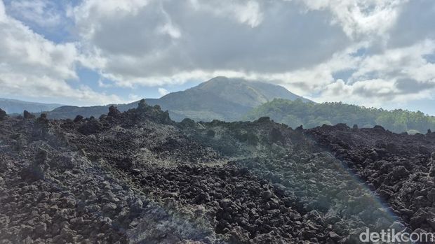 Black lava Gunung Batur. (Foto: Ni Komang Ayu Leona/detikBali)