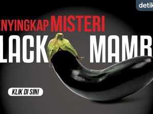 Wanti-wanti dr Boyke soal Black Mamba, Sembarangan Pakai Dildo Bisa Picu Infeksi