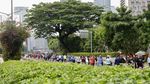 Car Free Day Jakarta Ramai Lagi, Warga Padati Sudirman