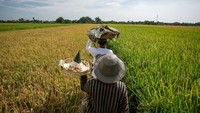 Festival Mbok Sri tak sekadar ritual budaya, tetapi juga menjadi media komunikasi masyarakat untuk menyuarakan pentingnya menjaga kekayaan alam dan lahan pertanian. Di tengah derasnya arus industrialisasi, tradisi ini menghadirkan pesan kuat tentang kelestarian lingkungan dan ketahanan pangan. ANTARA FOTO/Mohammad Ayudha