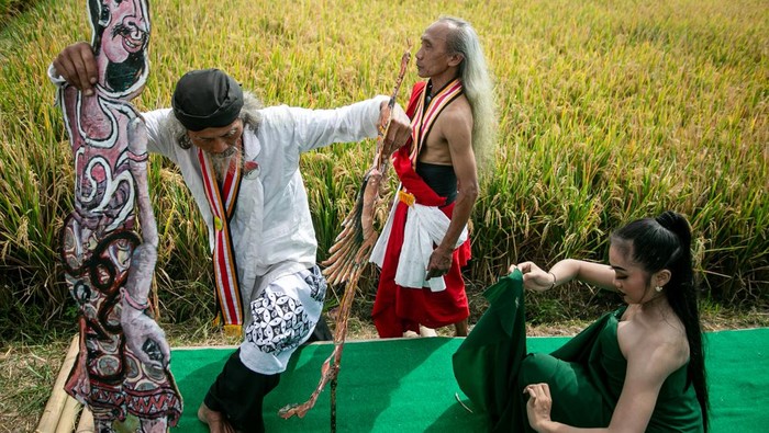 Festival Mbok Sri di Klaten Seorang penari menari di pematang sawah pada Festival Mbok Sri di Desa Delanggu, Klaten, Jawa Tengah, Minggu (7/9/2025). Festival yang digelar sebagai ungkapan syukur petani atas hasil pertanian tersebut sekaligus menjadi media komunikasi menyuarakan pentingnya menjaga kekayaan alam pertanian di tengah arus industrialisasi melalui pendekatan seni dan budaya. ANTARA FOTO/Mohammad Ayudha