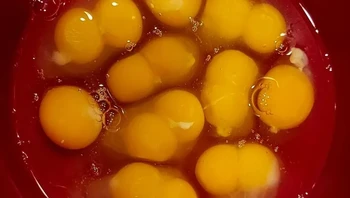 Kebanyakan dari telur yang dipecahkan ini punya dua kuning telur. Foto: via BrightSide