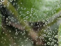 Foto-foto yang Memperlihatkan Keajaiban Alam