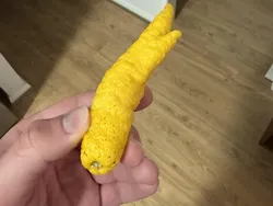 Foto-foto yang Memperlihatkan Keajaiban Alam