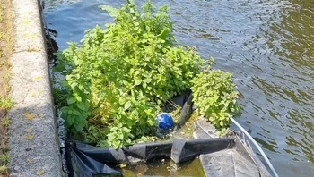 Perahu bekas lama-lama menyatu kembali dengan alam. Foto: via BrightSide