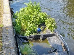 Foto-foto yang Memperlihatkan Keajaiban Alam