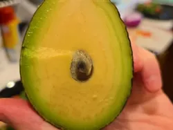 Foto-foto yang Memperlihatkan Keajaiban Alam