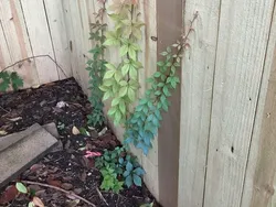 Foto-foto yang Memperlihatkan Keajaiban Alam