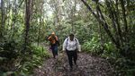 Pesona Ekowisata Danau Nyadeng, Permata Tersembunyi di Berau Kaltim