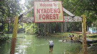 Terletak di kawasan Geosite Sangkulirang Mangkalihat, danau ini menyuguhkan pesona alam yang masih alami dengan air jernih kebiruan dan panorama karst yang memukau. ANTARA FOTO/M Risyal Hidayat