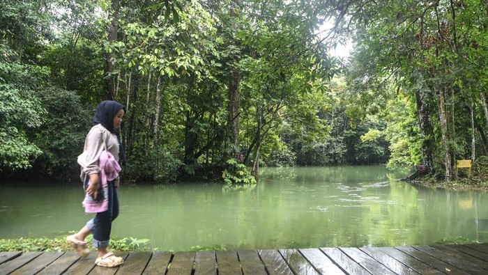 Pesona Ekowisata Danau Nyadeng, Permata Tersembunyi di Berau Kaltim Pengunjung berjalan di jembatan Danau Nyadeng, Kampung Merabu, Kecamatan Kelay, Kabupaten Berau, Kalimantan Timur, Sabtu (6/9/2025). Danau Nyadeng merupakan ekowisata yang berada di kawasan Geosite Sangkulirang Mangkalihat dengan kemunculan mata air di tepi karst bertipe kontak (antara batu gamping dengan batuan lainnya) dengan kedalaman lebih dari 60 meter menjadi pilihan wisatawan nusantara dan asing dalam menikmati wisata alam. ANTARA FOTO/M Risyal Hidayat