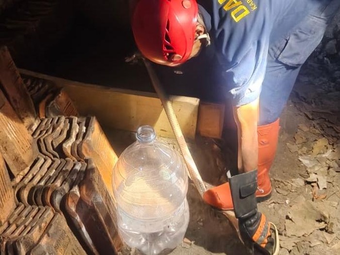 Proses evakuasi kobra jawa yang ngumpet di permukiman warga Sebokarang, Wates, Kulon Progo, Sabtu (6/9/2025)