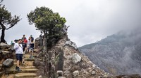 Penurunan ini menunjukkan tren sepi wisatawan asing ke Jawa Barat meski destinasi populer seperti Taman Wisata Alam Gunung Tangkuban Parahu, Kawah Putih, hingga Pangandaran tetap menjadi magnet wisata. Para turis asing yang datang umumnya berasal dari negara tetangga seperti Malaysia dan Singapura, namun jumlahnya jauh lebih sedikit dibanding tahun-tahun sebelumnya. ANTARA FOTO/Abdan Syakura