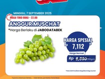 Anggur Muscat Diobral Murah di Transmart Full Day Sale!