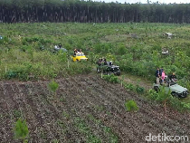 Video Pinus Sewu, Rekomendasi Wisata di Lumajang