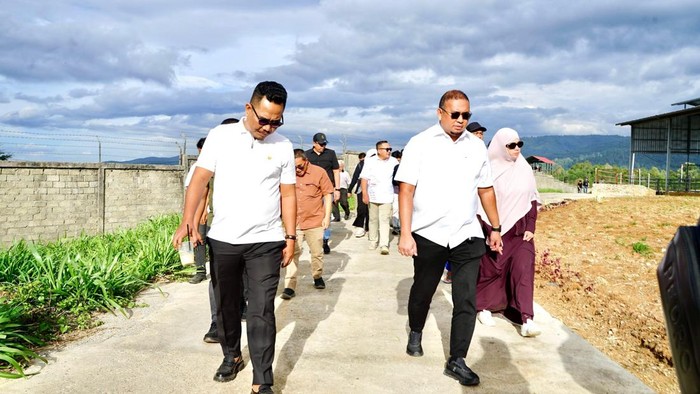 Andre Rosiade Kunjungi Sirukam Dairy Farm Solok