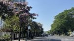 Potret Surabaya Bagai Negeri Sakura