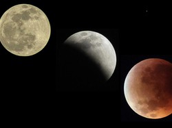 Gerhana Bulan Total 3 Maret 2026 Bisa Dilihat di Indonesia, Catat Jadwalnya