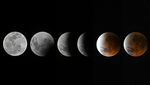 Fenomena Blood Moon Hiasi Langit Indonesia, Terlihat dari Depok hingga Lombok