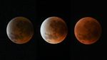Fenomena Blood Moon Hiasi Langit Indonesia, Terlihat dari Depok hingga Lombok