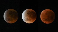 Tak kalah menawan, pemandangan serupa juga menghiasi langit Mataram, Nusa Tenggara Barat. Warga Lombok bisa menyaksikan fenomena astronomis ini mulai pukul 23.26 WITA hingga 03.56 WITA. Sejumlah warga memanfaatkan momen ini untuk memotret langit, membagikan hasilnya ke media sosial, sehingga fenomena Blood Moon menjadi perbincangan hangat di dunia maya. ANTARA FOTO/Ahmad Subaidi