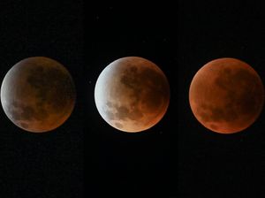 Gerhana Bulan Total 3 Maret 2026 Terlihat di RI, Kemenag Imbau Salat Khusuf