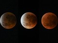Ada Gerhana Bulan Total Blood Moon 3 Maret, Terakhir Sebelum 2029