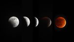 Fenomena Blood Moon Hiasi Langit Indonesia, Terlihat dari Depok hingga Lombok