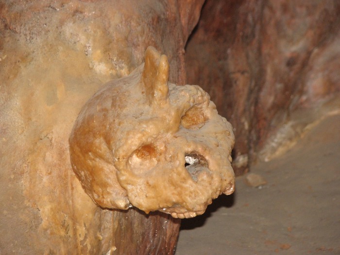Fosil tengkorak tertutup stalagmit di Gua Petralona, Yunani.