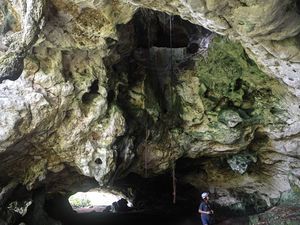 Video: Kaltim Bakal Punya Geopark Pertama Namanya Sangkulirang-Mangkalihat