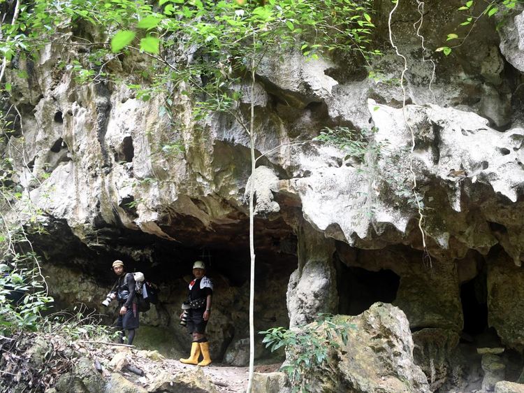 Lukisan Telapak Tangan Suku Dayak Basap di Gua Bloyot Berau