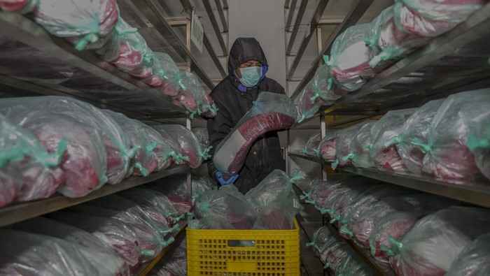Ikan Tuna Ternate Jadi Andalan Ekspor, Ribuan Ekor Diolah Tiap Hari Seorang pekerja memindahkan ikan saat proses pengolahan daging ikan tuna di PT. Kelola Mina Samudra Kompleks Pelabuhan Perikanan Nusantara Ternate, Maluku Utara, Senin (8/9/2025). Menurut pekerja, pengolahan daging ikan tuna hasil tangkapan nelayan kualitas ekspor itu rata-rata mencapai 900-1.000 ekorper hari dengan menerapkan prosedur yang ketat mulai dari penerimaan bahan baku, pencucian, penyiangan sebelum di ekspor ke beberapa negara seperti Vietnam, Thailand, Amerika, Singapura, Korea, dan Malaysia. ANTARA FOTO/Andri Saputra/tom.