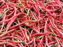 Harga Cabai Merah dan Daging Ayam di Palembang Turun, Telur Ayam Ras Naik