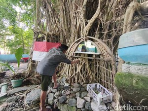 Alasan Jalal Hidup Menyatu dengan Alam di Rumah Pohon Beringin