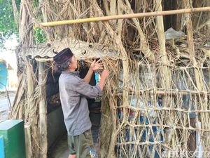 Jalal Sulap Area Makam Leluhur Jadi Rumah Pohon yang Unik