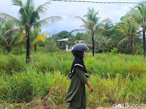 Lahan Makin Tak Produktif, Warga Tarakan Soroti Aktivitas Pabrik Kertas